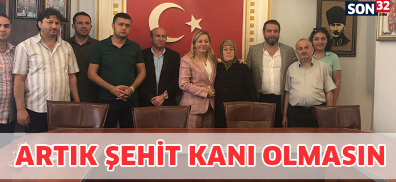 Artık şehit kanı olmasın